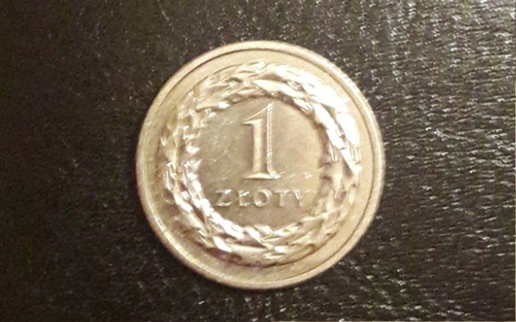 Zbiórka Ciekawość nie zna granic :) - zdjęcie główne