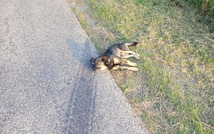 Zbiórka Transport pilne - zdjęcie główne