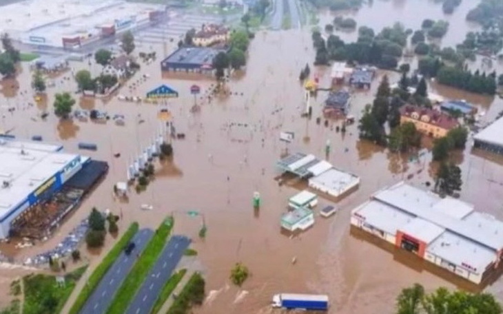 Zbiórka Pomóc PSIAKom z Jeleniej Góry - zdjęcie główne