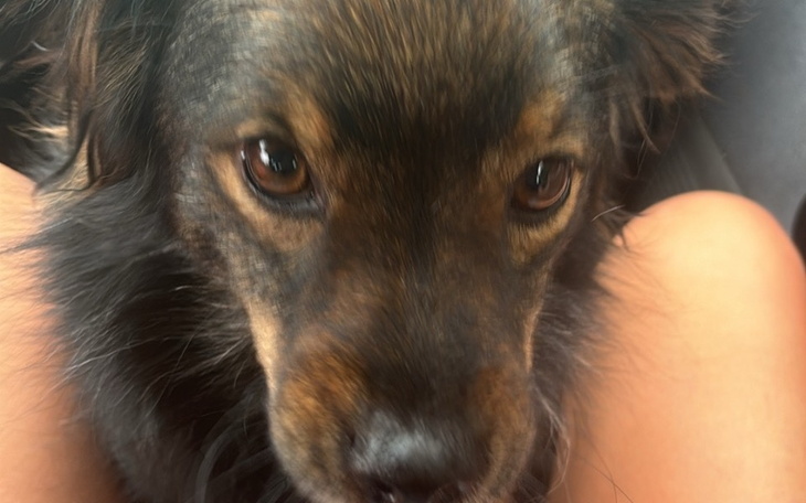 Zbiórka Transport na Pomorze - zdjęcie główne