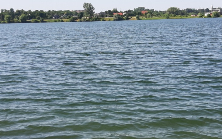 Zbiórka Żeby żyć bez obaw - zdjęcie główne