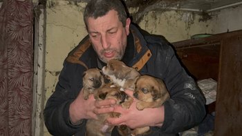 Zbiórka Zamarzały w pustostanie - miniaturka zdjęcia