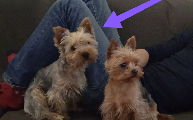 Zbiórka Operacja ratująca życie Juniora - zdjęcie główne