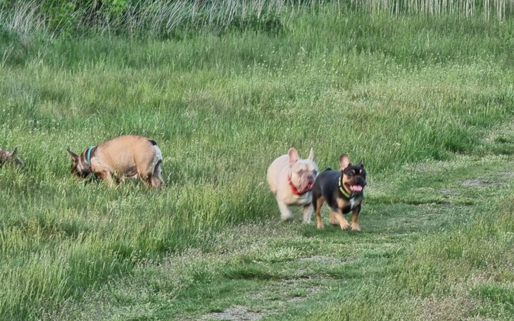 Zbiórka Opieka prawna - zdjęcie główne