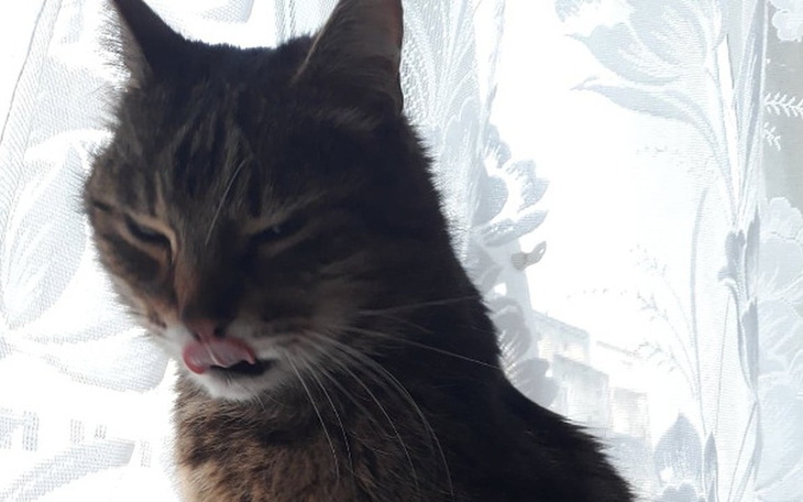 Zbiórka Kajtek-pomóżmy uwolnić od bólu - zdjęcie główne