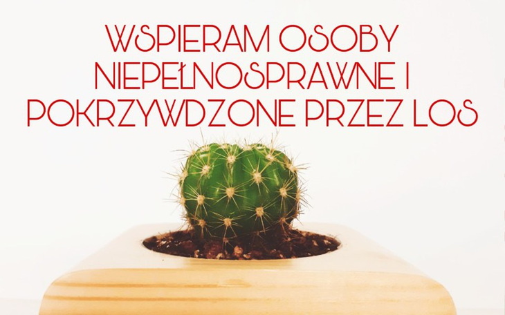 Zbiórka Uśmiech dla niepełnosprawnych - zdjęcie główne