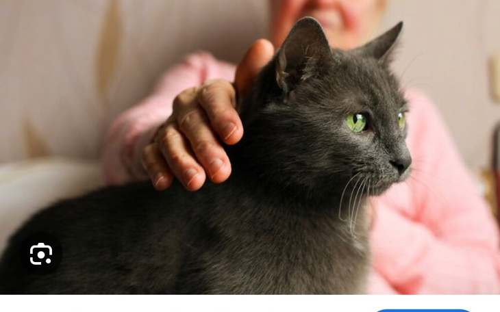 Zbiórka Na remont. By żyło się lepiej. - zdjęcie główne