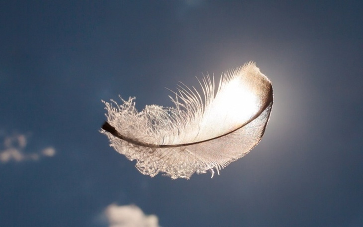 Zbiórka Na Jedzenie , Gaz i zaległości - zdjęcie główne