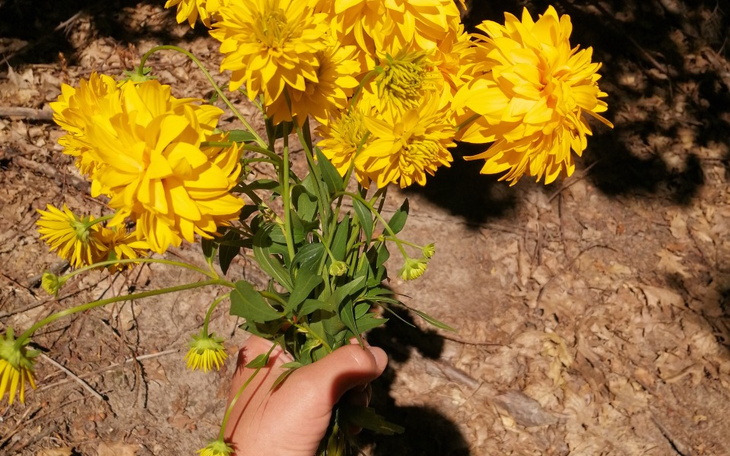 Zbiórka Pomoc Ukrainkom z dziećmi. - zdjęcie główne