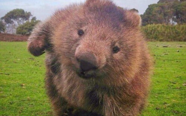 Zbiórka Biała szkoła ⛷⛷ - zdjęcie główne