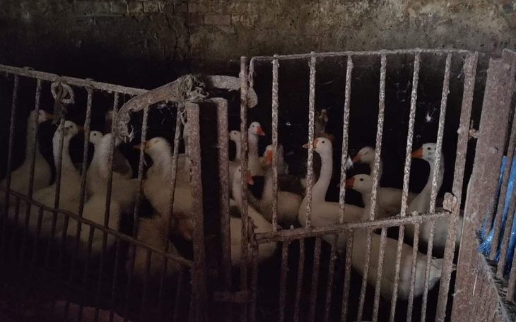 Zbiórka Czy ich los kogoś obchodzi - zdjęcie główne