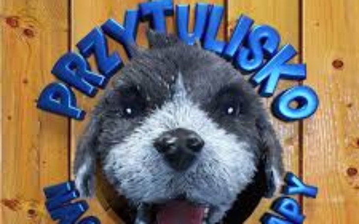 Zbiórka Na karmę i koce dla psiaków - zdjęcie główne