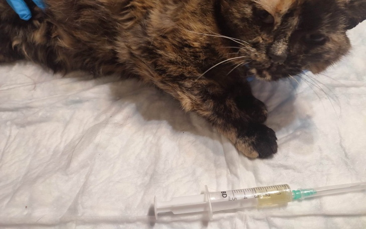 Zbiórka Nieszczęścia chodzą parami.. - zdjęcie główne