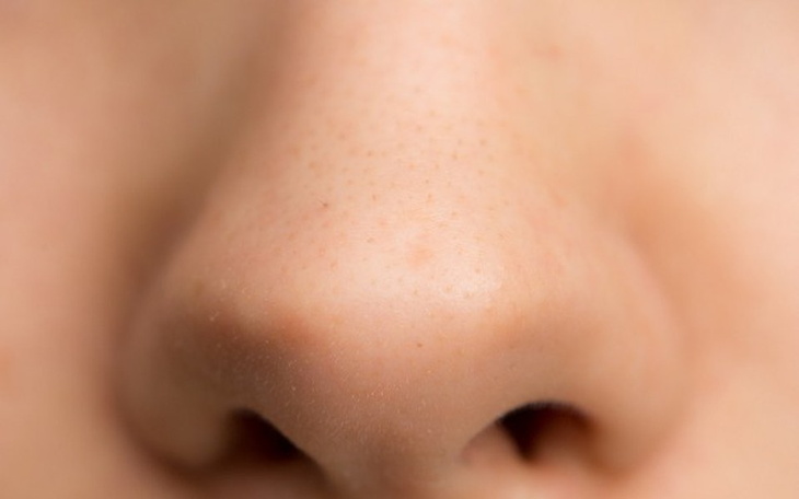 Zbiórka Nowy nos - zdjęcie główne