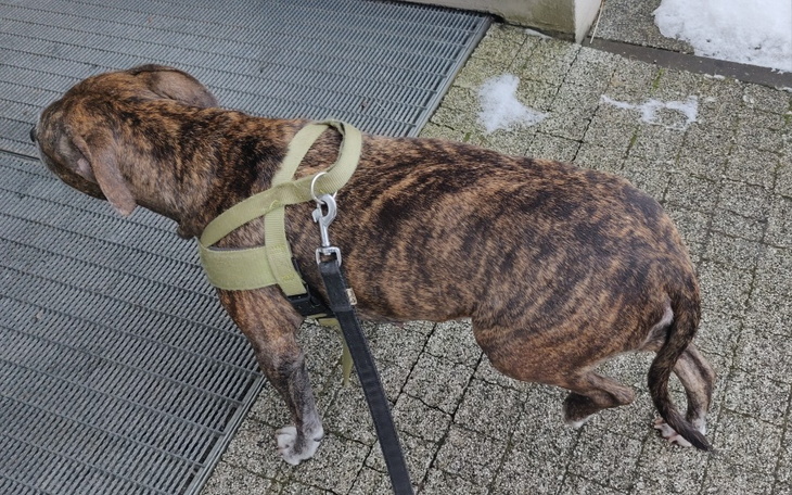 Zbiórka Operacja Kolana Ajry - zdjęcie główne