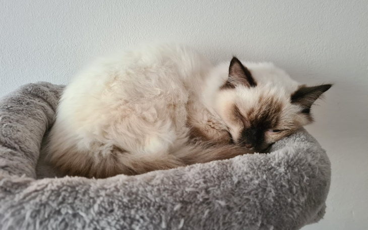 Zbiórka Za młoda by umierać - zdjęcie główne