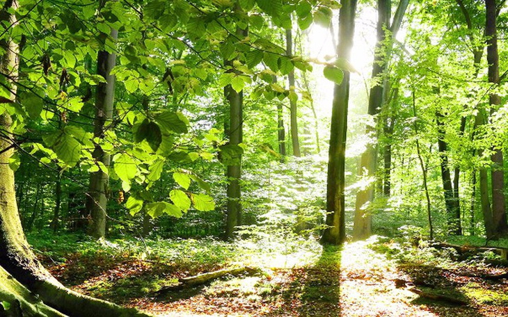 Zbiórka Początek w nową przyszlosc - zdjęcie główne