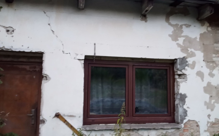 Zbiórka Dom dla psich staruszków - zdjęcie główne