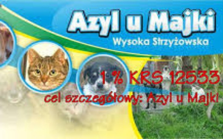 Zbiórka Wsparcie dla Azylu u Majki - zdjęcie główne