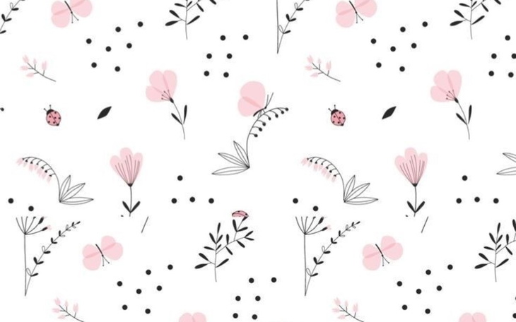 Zbiórka Zbiórka nieaktualna - zdjęcie główne