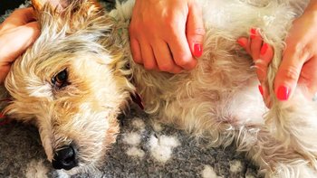 Zbiórka Fizjoterapia dla Romka to szansa na życie! - miniaturka zdjęcia