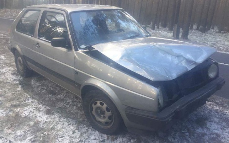 Zbiórka jeleń zniszczył mi auto - zdjęcie główne