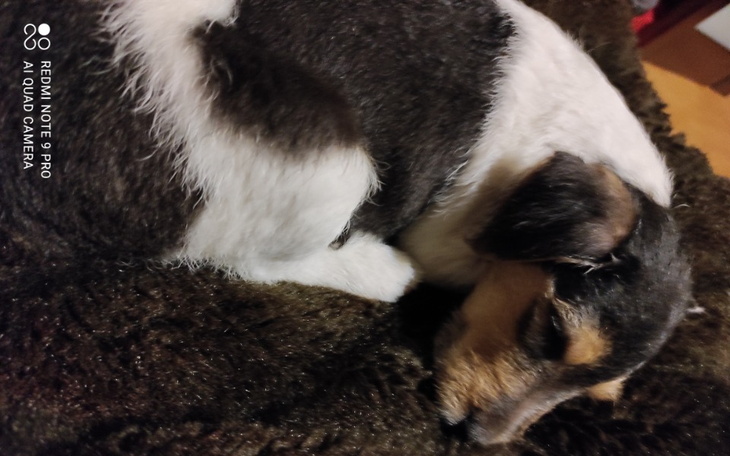 Zbiórka STOP sTRZELANIu - zdjęcie główne