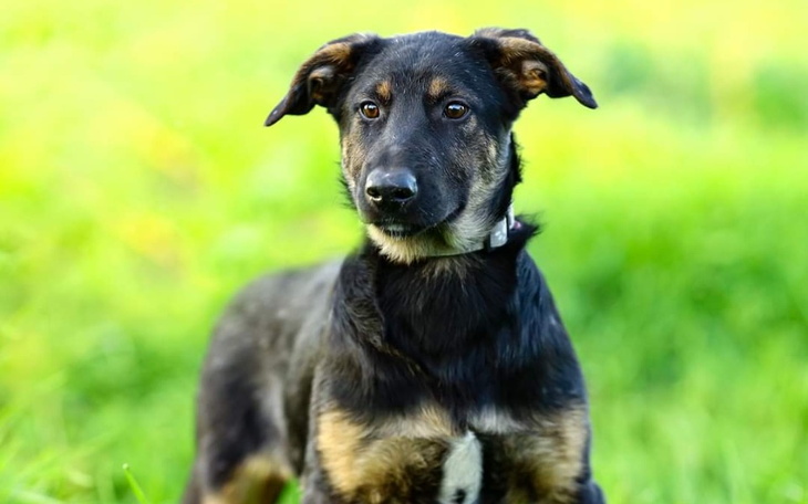 Zbiórka Niedzielne święto KUNDELKÓW - zdjęcie główne