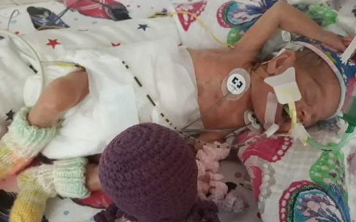 Zbiórka Oliwka i jej walka o życie - zdjęcie główne