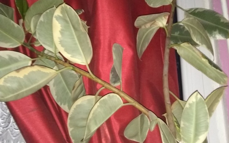 Zbiórka Na kanał i na życie - zdjęcie główne