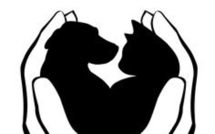 Logo przedstawiające psa i kota w dłoniach.