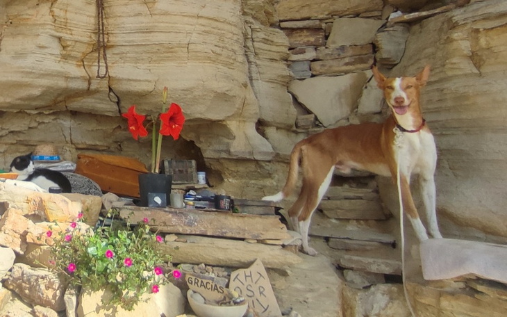 Zbiórka Zróbmy coś dobrego dla Bambiego - zdjęcie główne