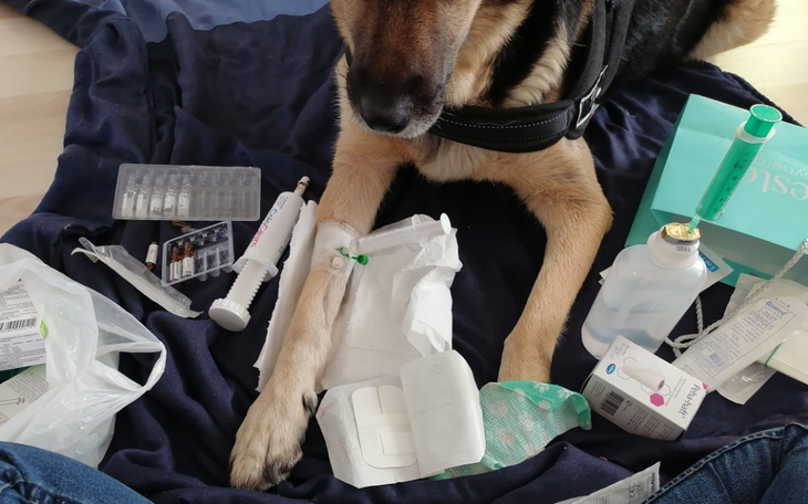 Zbiórka Walka o życie Leosia - zdjęcie główne