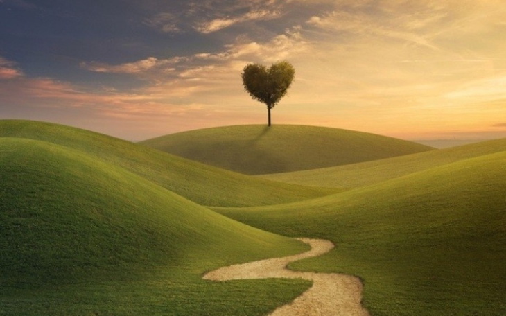 Zbiórka Zbieram na życie hehe - zdjęcie główne