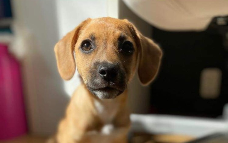 Zbiórka To nasze być albo nie być - zdjęcie główne