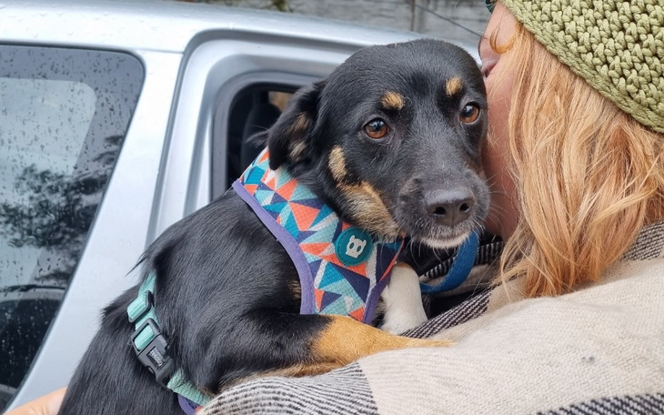 Zbiórka Pomoc dla Toli - zdjęcie główne