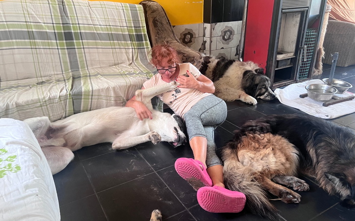 Kobieta bawiąca się z psami w przytulnym wnętrzu.