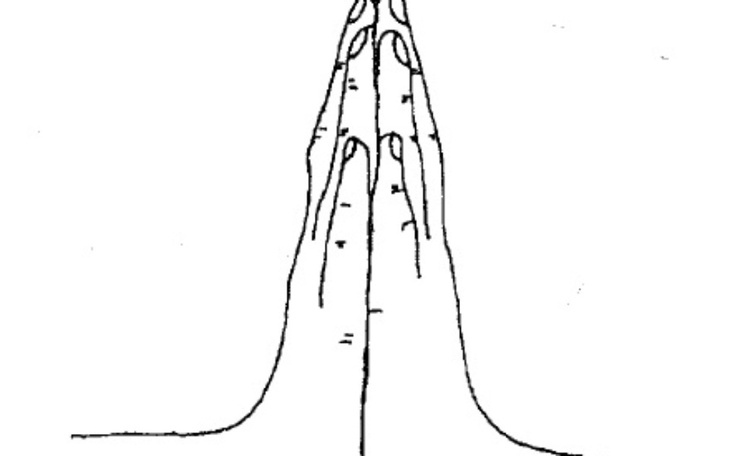 Zbiórka Pomoc finansowa dla ludzi z UA - zdjęcie główne