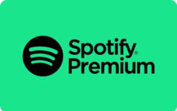 Zbiórka Na Spotify Premium dla Bitki - zdjęcie główne