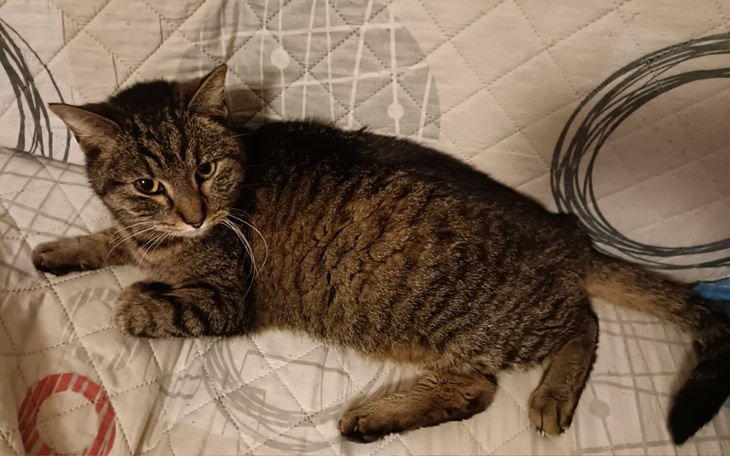 Zbiórka Cichy zabójca Basi... - zdjęcie główne