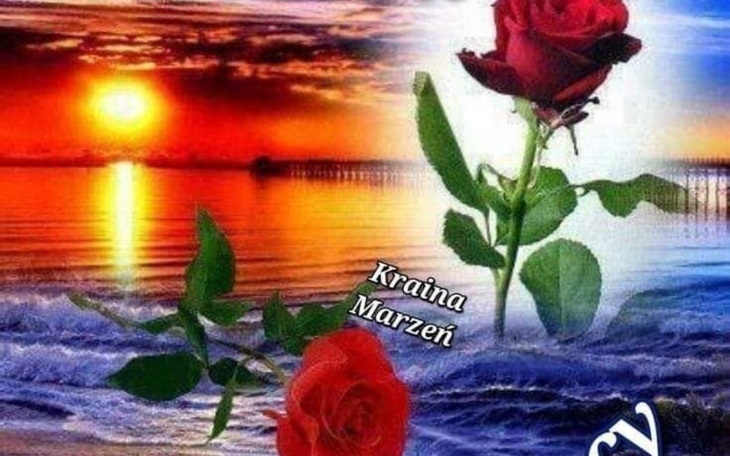 Zbiórka Na podstawowe produkty przeżycie - zdjęcie główne