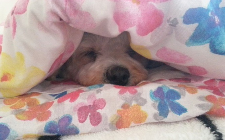 Zbiórka 1 pokojowe - zdjęcie główne