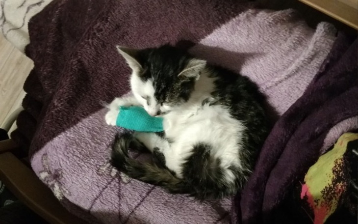 Zbiórka Zbieramy dla chorego maluszka - zdjęcie główne