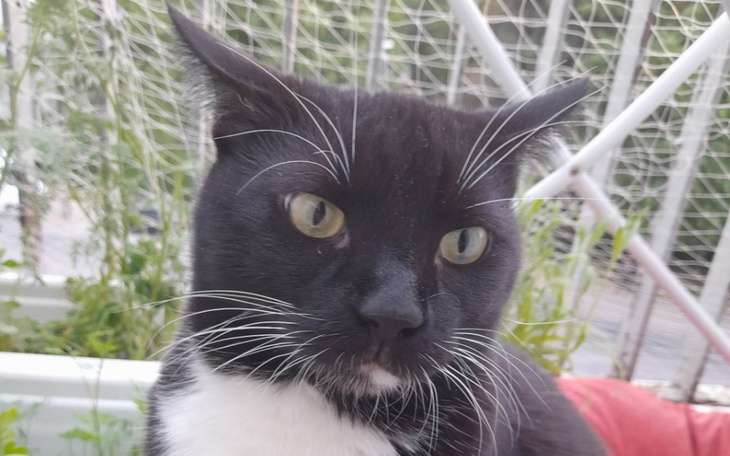 Zbiórka Leczenie Alinki -Diagnoza Mięsak - zdjęcie główne