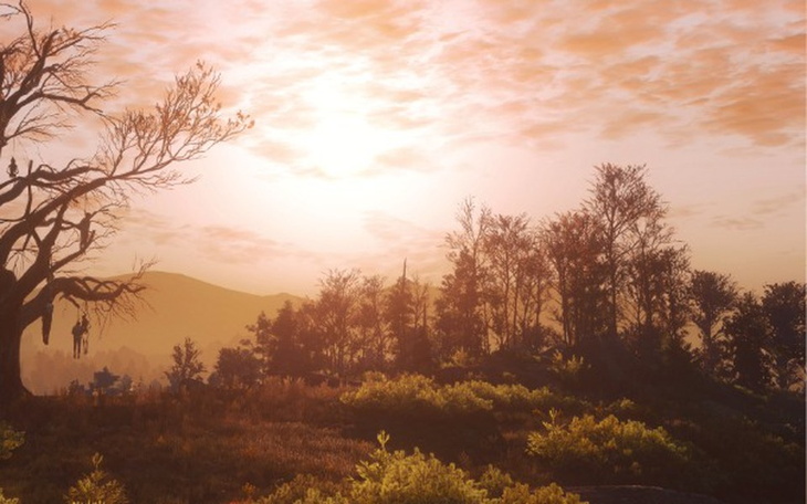 Zbiórka Rekord Donejtów - zdjęcie główne