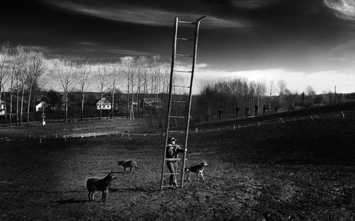 Zbiórka Chciałabym przestać istnieć. - zdjęcie główne