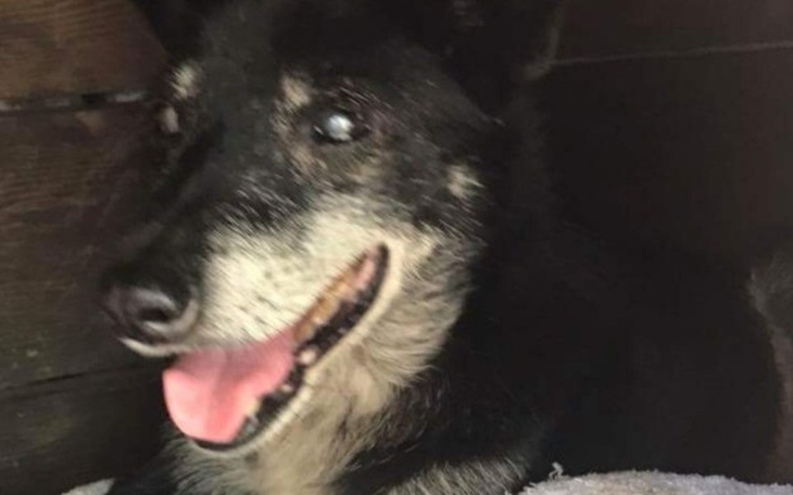 Zbiórka 18 letni dziadzius - zdjęcie główne