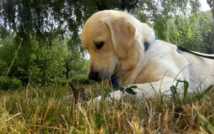 Zbiórka Endoprotezy dla Bogdana - zdjęcie główne