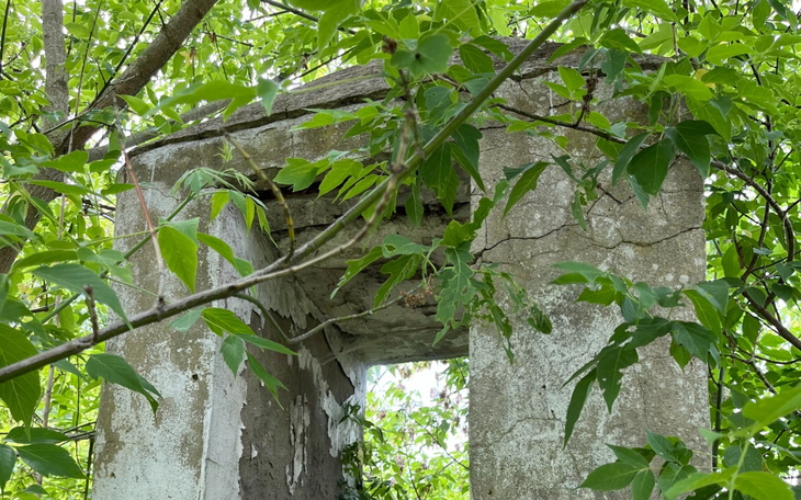 Zniszczony budynek wśród zieleni, częściowo ukryty w liściach.