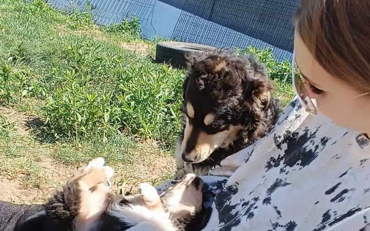 Zbiórka Podłączenie wody w azylu - zdjęcie główne